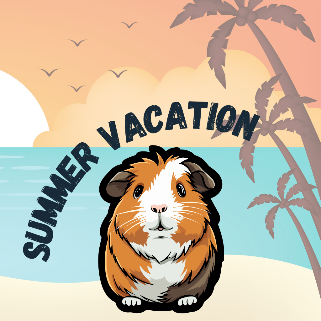 guinea pig on the beach