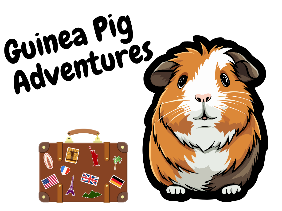 guinea pig with a suitcase